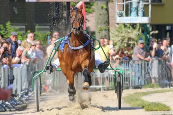 Kortebaan Wognum 2025