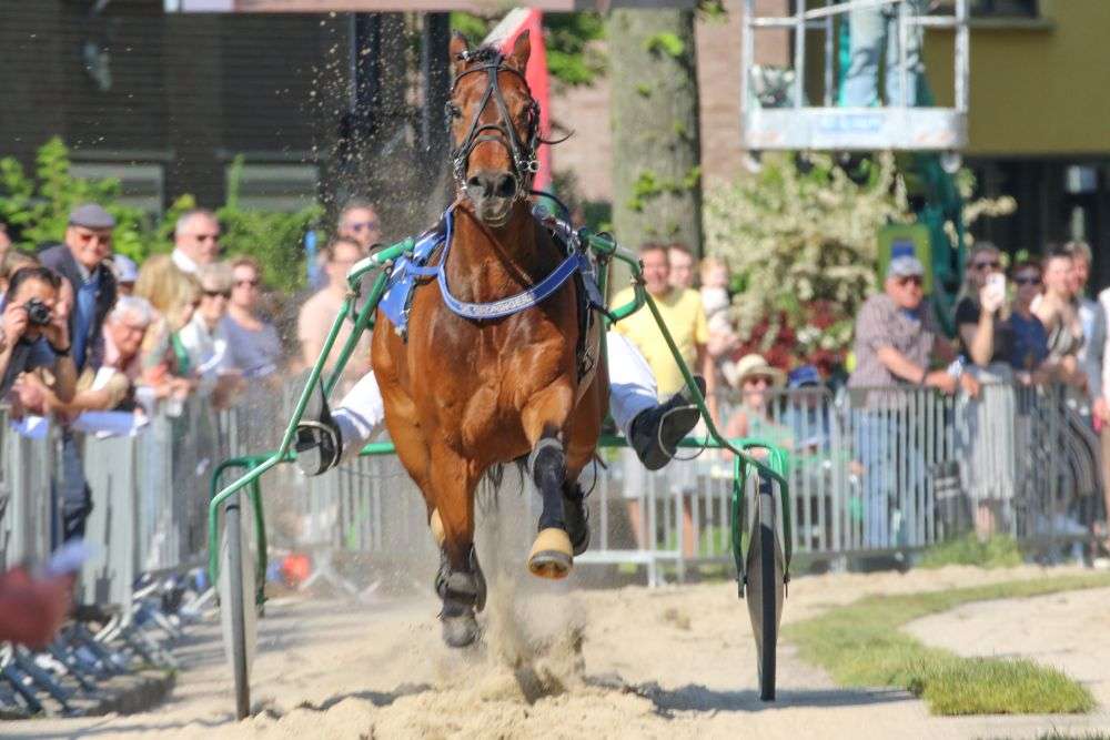 Kortebaan Wognum 2025