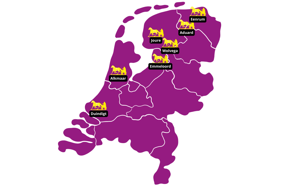 Nederlandse drafbanen